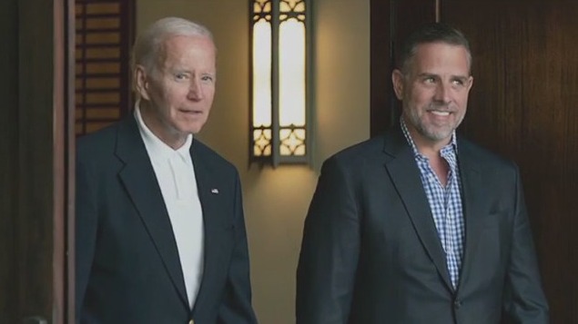 Hunter Biden's Plea Deal Unveiled