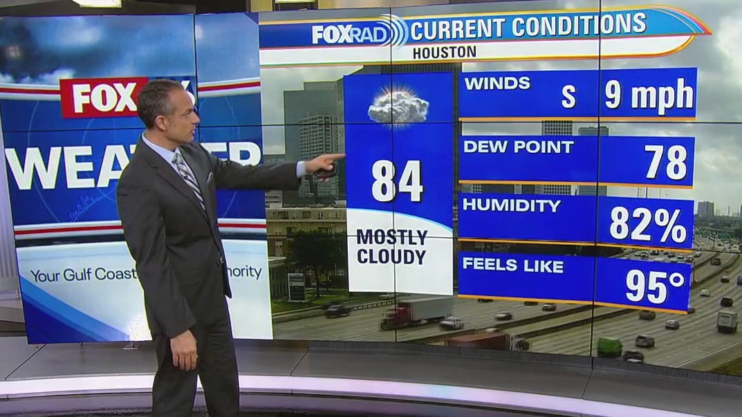 Houston excessive heat warning in effect