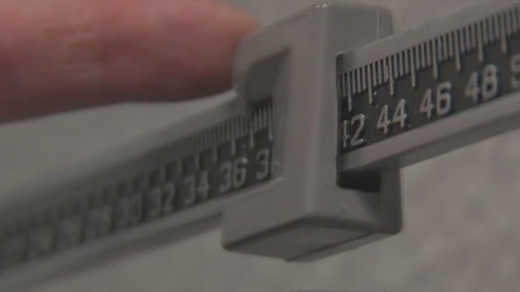 Intermittent fasting vs. calorie counting