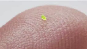 Microscopic handbag sold for $63K at auction