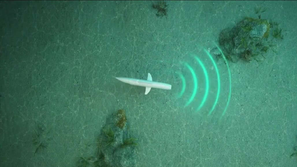 Robo fish transforms how we protect the oceans