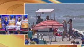 Protecting and nurturing your hair in the heat