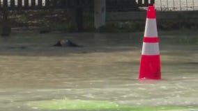 Houston expects to repair water main break