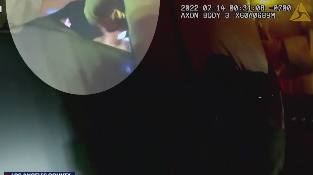 Body camera footage shows deputy punching mother holding her baby