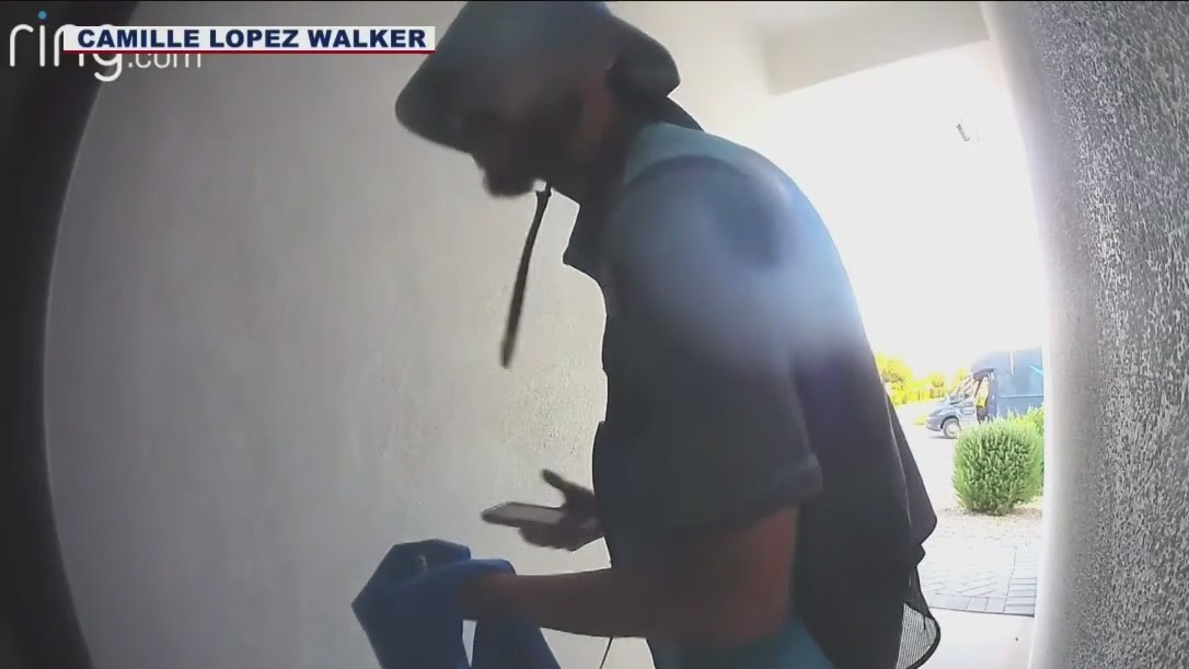 Bird rescued by Amazon delivery driver