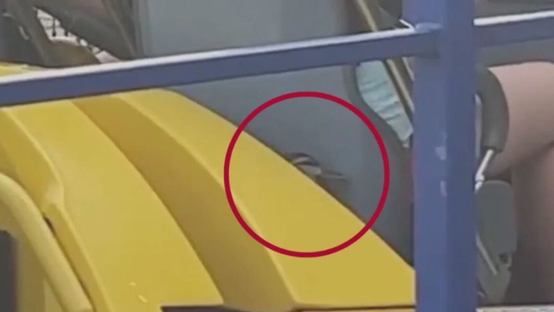 Duck tries to sneak on roller coaster