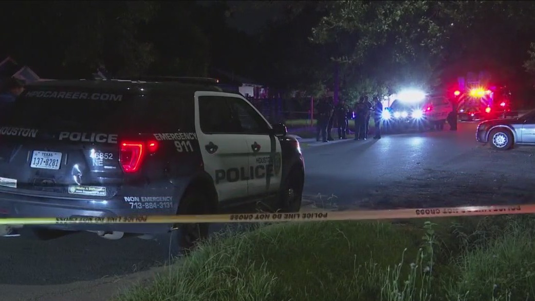 Woman shot and killed in driveway