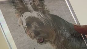 Woman's dog dies in vicious attack