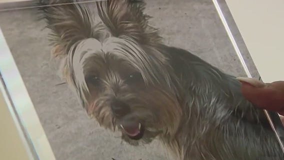 Woman's dog dies in vicious attack