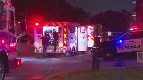 Security guard shot while confronting car thieves