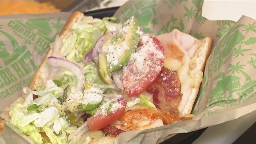 Toasted subs at Cheba Hut