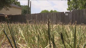 Katy residents asked to conserve water