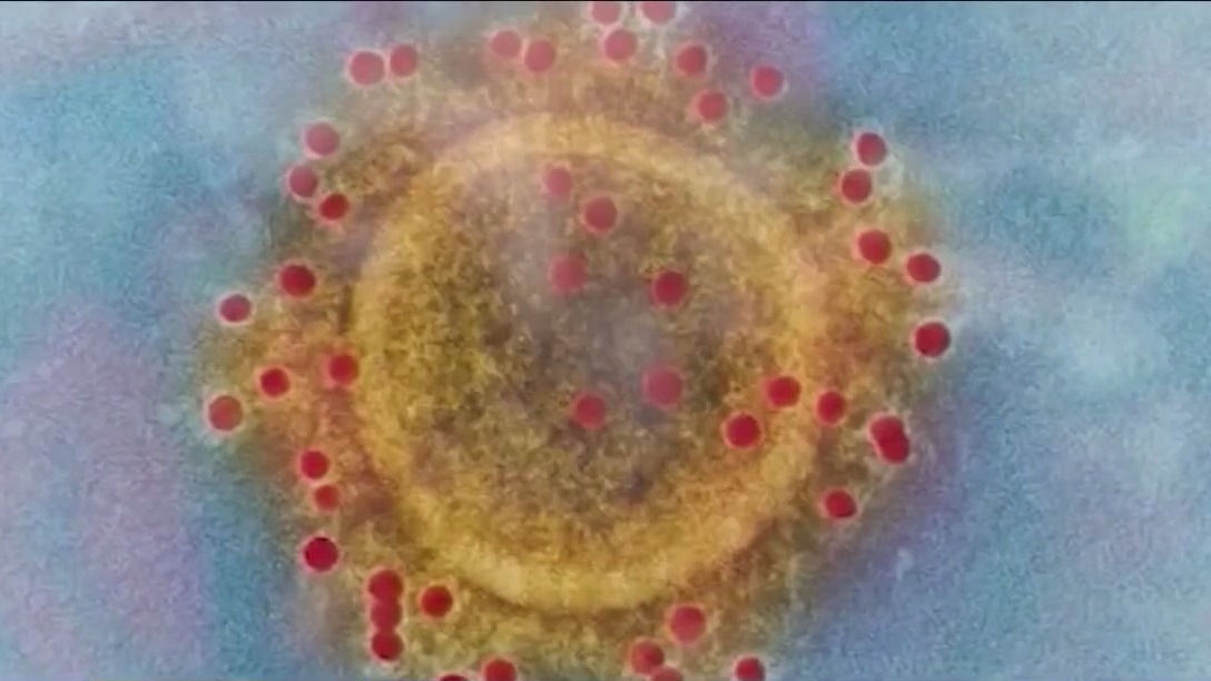 COVID-19 summer surge in Houston