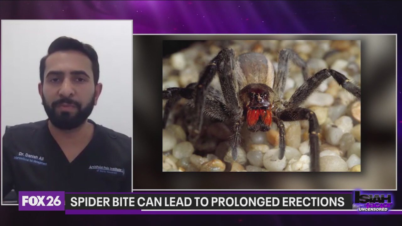 Prescription pill warning, poisonous spider bite that can lead to prolonged erections