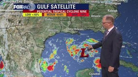 Tropical cyclone forms in the Gulf of Mexico