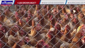 Would you eat lab-grown meat?