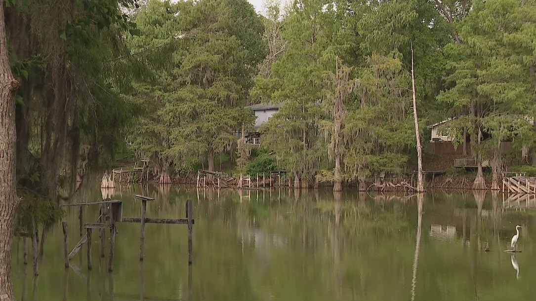 Dive team to search for Liberty County woman