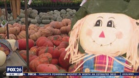 Bayou City Buzz: With plant decor, Houston gets ready for fall