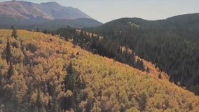 Fall colors arriving later than normal; why?