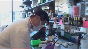 Future pandemic could be worse than COVID-19