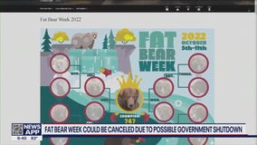 Fat Bear Week could be canceled