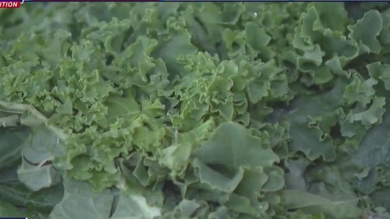 New Study: Genetics may influence vegetarian preferences