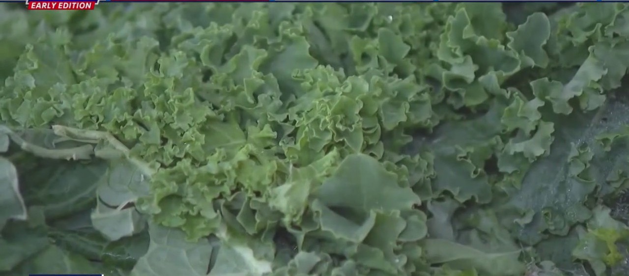 New Study: Genetics may influence vegetarian preferences