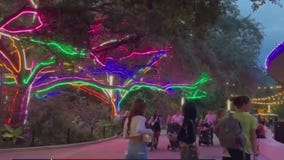 Zoo Boo Houston, True Blue Hawaiian Gala