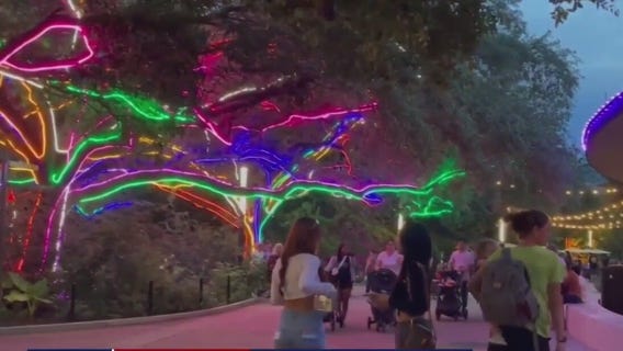 Zoo Boo Houston, True Blue Hawaiian Gala