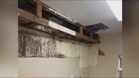 Texas family says black mold impacting health