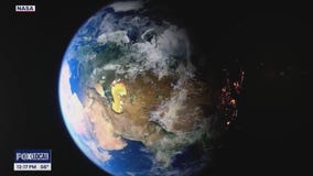 Celebrate Leap Day with discounts and freebies!