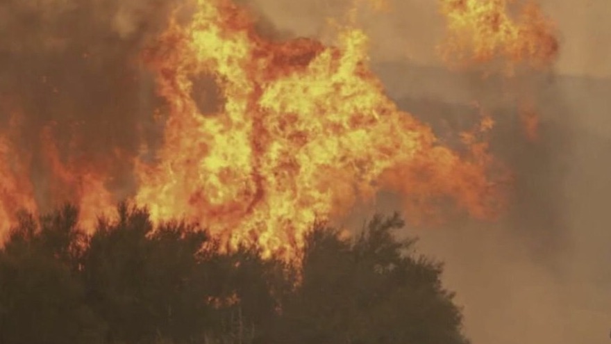 State's largest wildfire ever burning in the panhandle