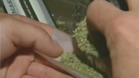 Marijuana use and the risk of heart attack, stroke