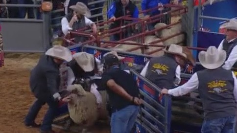 Houston Rodeo 2024: Volunteer Appreciation Day