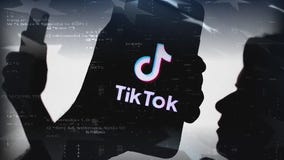 TikTok: National security threat or entertainment giant?
