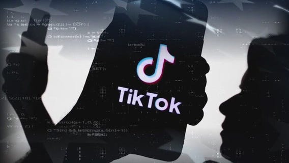 TikTok: National security threat or entertainment giant?