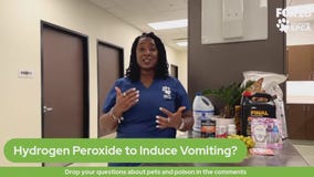 The Pet Pawcast - Pet poisoning emergency