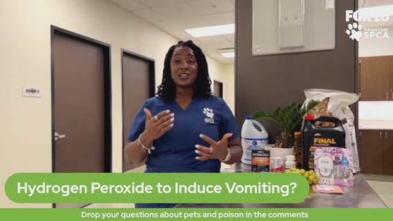 The Pet Pawcast - Pet poisoning emergency