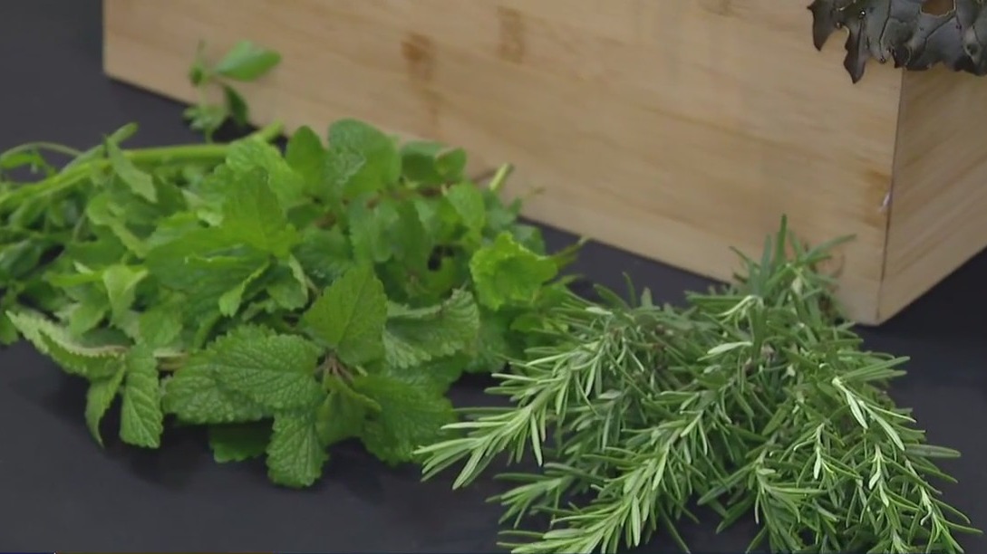 Solving food access problem in Houston