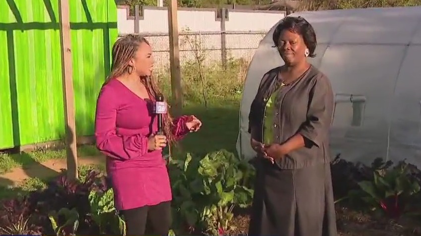 Farmers markets combatting food insecurity