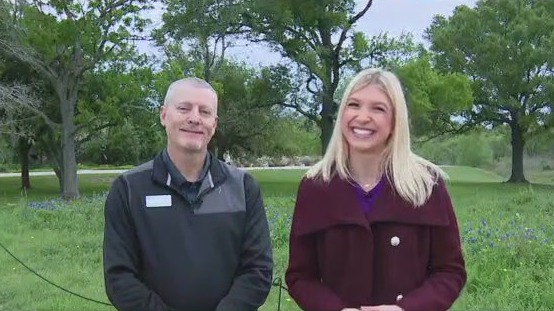 Texas Bluebonnets at Houston Botanic Garden