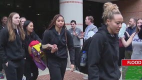 Rice Woman's basketball head to NCAA Tournament