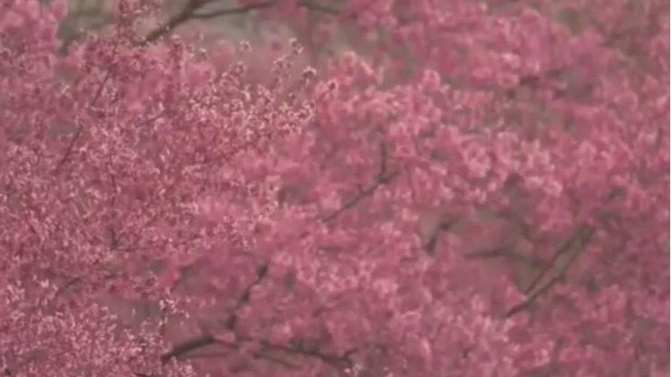 Nipping spring allergies in the bud