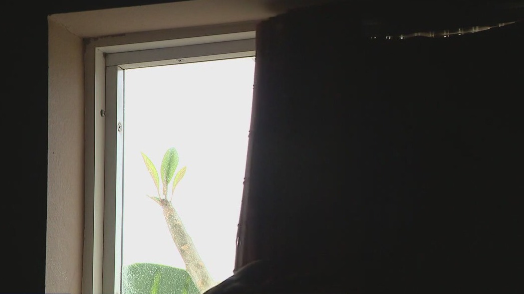 Coping with shift sleep