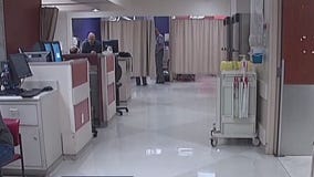 Memorial Hermann suspends liver transplant program