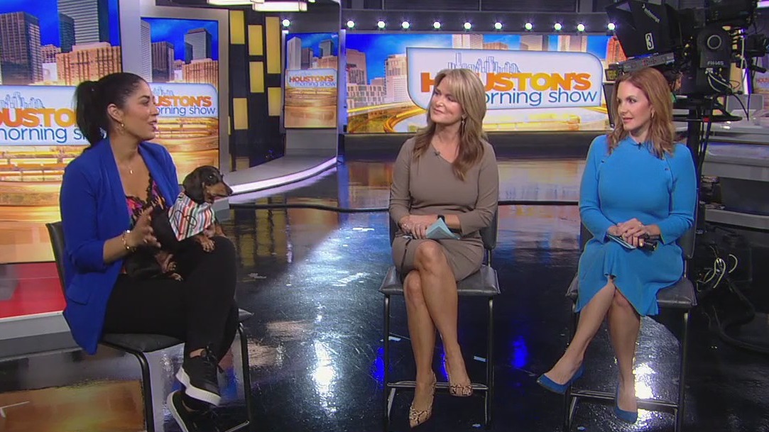 How pets strengthen relationships