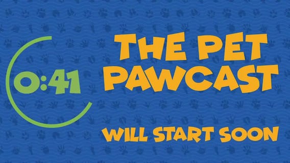 The Pet Pawcast: Let's Talk Veterinary Medicine