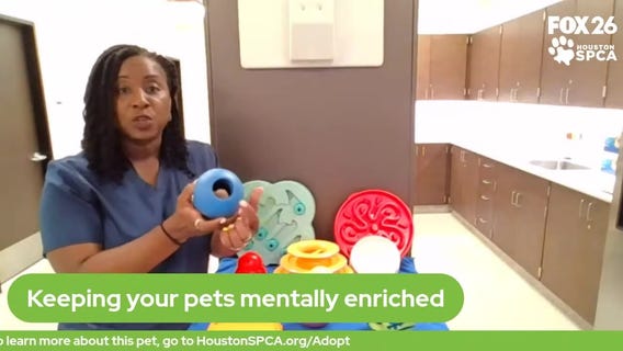 The Pet Pawcast: Enriching your pets