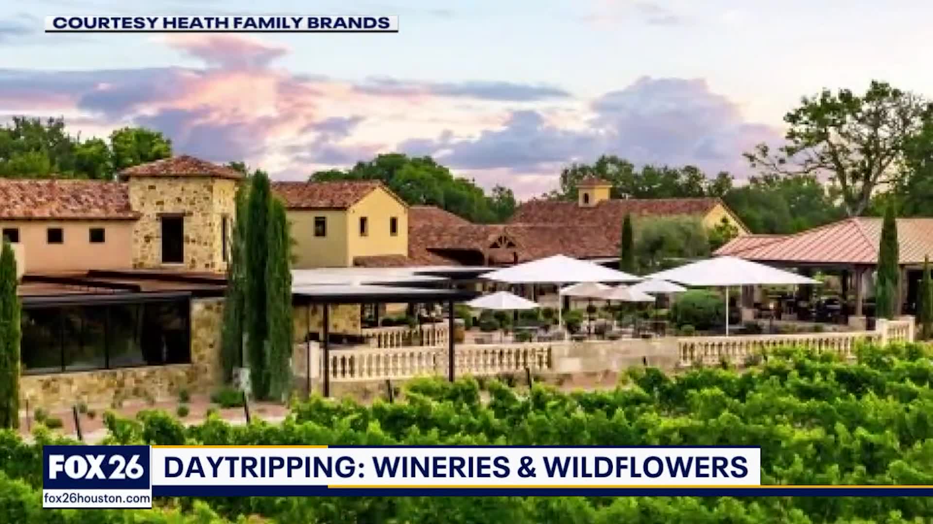 Low cost airline routes, child's car seat trade in and more!