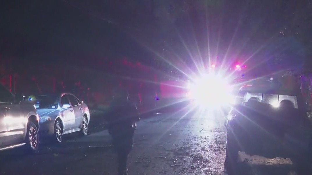 Mother of 4 killed in Houston storms; tree falls on her car